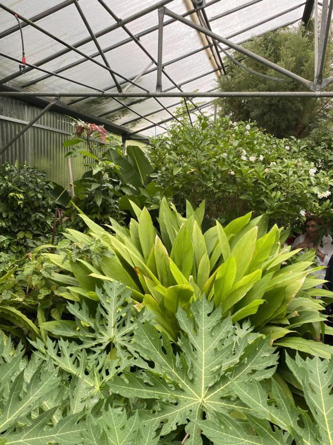 מלון - Maravel Botanical Garden Spílion